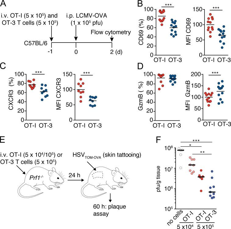 https://cdn.ncbi.nlm.nih.gov/pmc/blobs/739f/5110015/f2cb707fc366/JEM_20160206_Fig8.jpg
