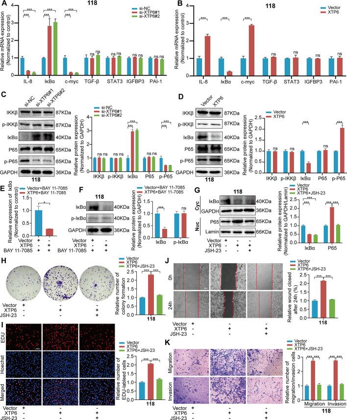 https://cdn.ncbi.nlm.nih.gov/pmc/blobs/73a0/11225266/b147c72f27ed/13046_2024_3109_Fig4_HTML.jpg