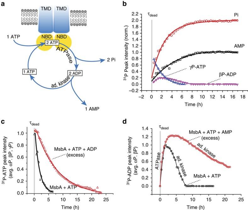 https://cdn.ncbi.nlm.nih.gov/pmc/blobs/73a0/5192220/8216707526f2/ncomms13864-f3.jpg