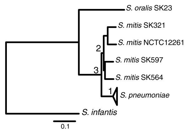 https://cdn.ncbi.nlm.nih.gov/pmc/blobs/73a1/3218663/08741584a449/gb-2010-11-10-r107-9.jpg