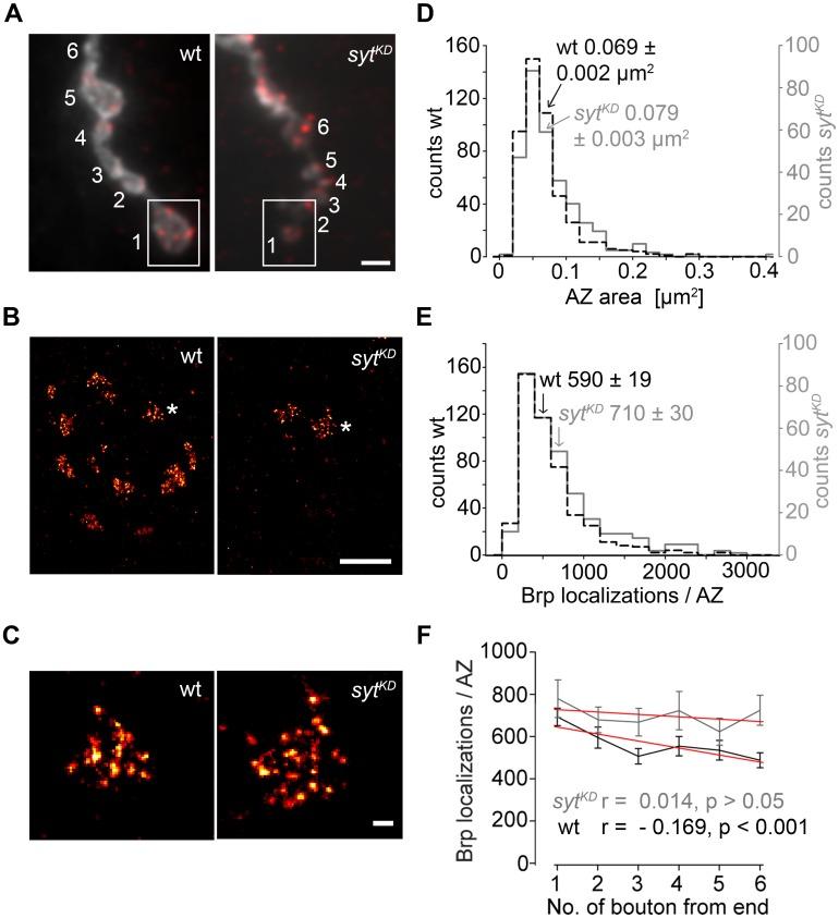 https://cdn.ncbi.nlm.nih.gov/pmc/blobs/73a1/4318344/36546a74cae7/fncel-09-00029-g009.jpg