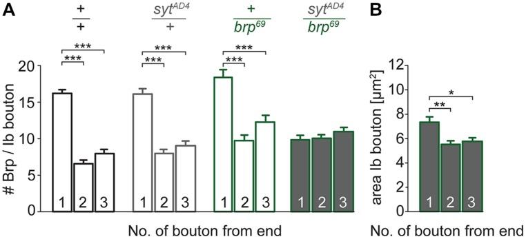 https://cdn.ncbi.nlm.nih.gov/pmc/blobs/73a1/4318344/c46d957ce442/fncel-09-00029-g007.jpg