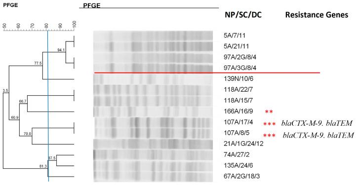 https://cdn.ncbi.nlm.nih.gov/pmc/blobs/73a5/12024293/0285cdb281d3/antibiotics-14-00342-g007.jpg
