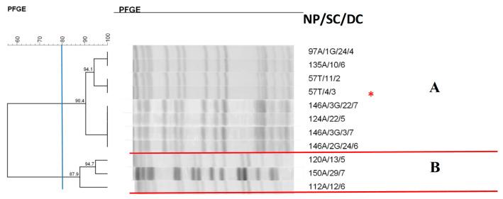 https://cdn.ncbi.nlm.nih.gov/pmc/blobs/73a5/12024293/94495ac0bc83/antibiotics-14-00342-g004.jpg