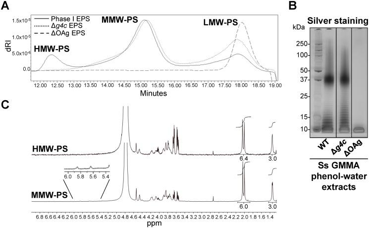 https://cdn.ncbi.nlm.nih.gov/pmc/blobs/73a6/4368438/eee6840d0633/ppat.1004749.g002.jpg