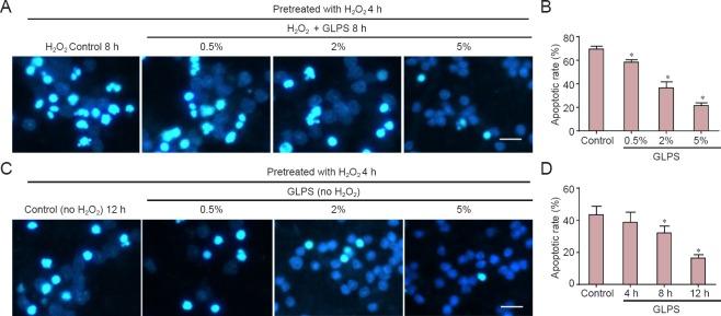 https://cdn.ncbi.nlm.nih.gov/pmc/blobs/73a6/5514871/801e2f5b4b36/NRR-12-953-g004.jpg
