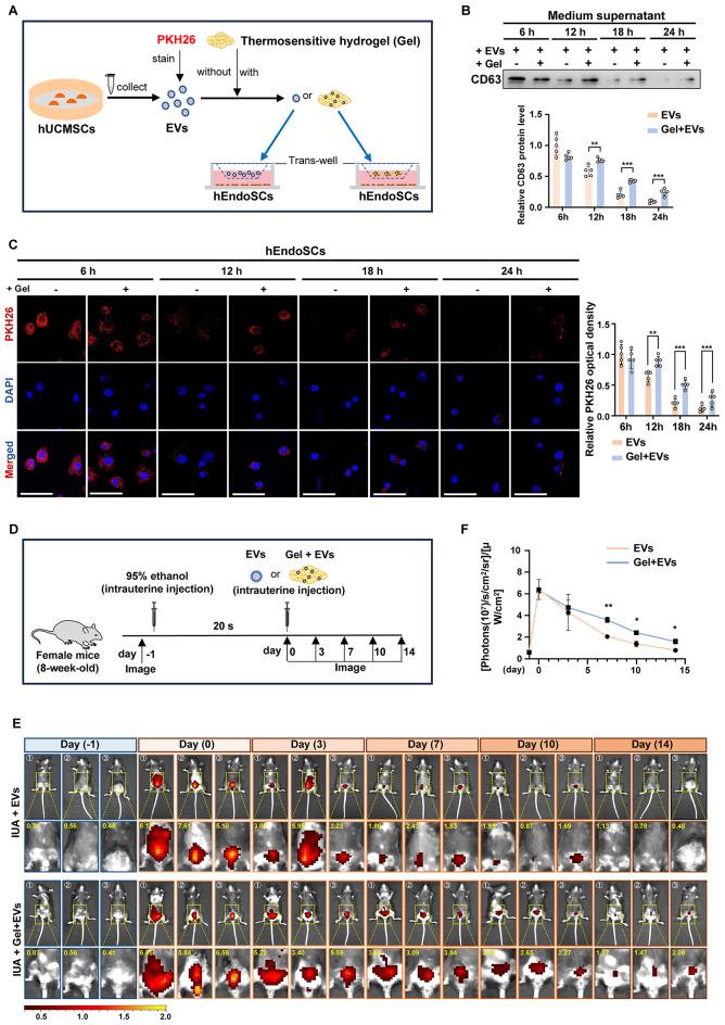 https://cdn.ncbi.nlm.nih.gov/pmc/blobs/73a7/11406736/a6454af87b9c/12951_2024_2780_Fig2_HTML.jpg