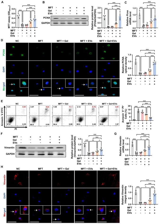 https://cdn.ncbi.nlm.nih.gov/pmc/blobs/73a7/11406736/c05c6420c1a7/12951_2024_2780_Fig3_HTML.jpg