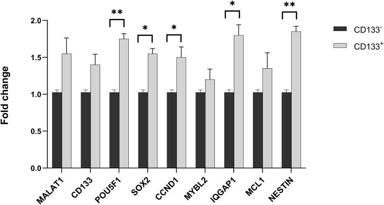 https://cdn.ncbi.nlm.nih.gov/pmc/blobs/73a8/10339060/dd3c390541b6/gr5.jpg