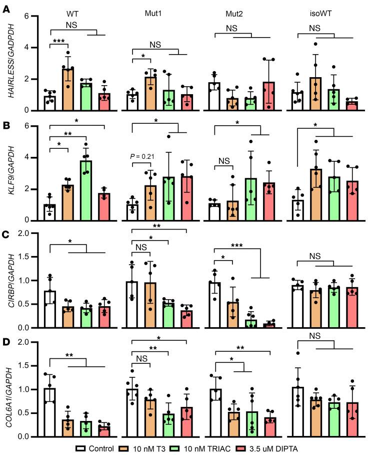 https://cdn.ncbi.nlm.nih.gov/pmc/blobs/73a8/11128209/e4f675d6d4cc/jciinsight-9-174645-g178.jpg