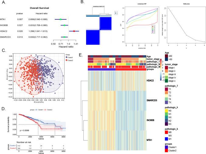 https://cdn.ncbi.nlm.nih.gov/pmc/blobs/73ad/12049336/2f26deb388fe/10238_2025_1661_Fig1_HTML.jpg