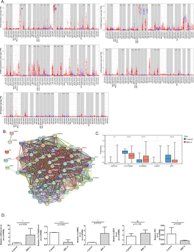 https://cdn.ncbi.nlm.nih.gov/pmc/blobs/73ad/12049336/6183b2ff80e9/10238_2025_1661_Fig11_HTML.jpg