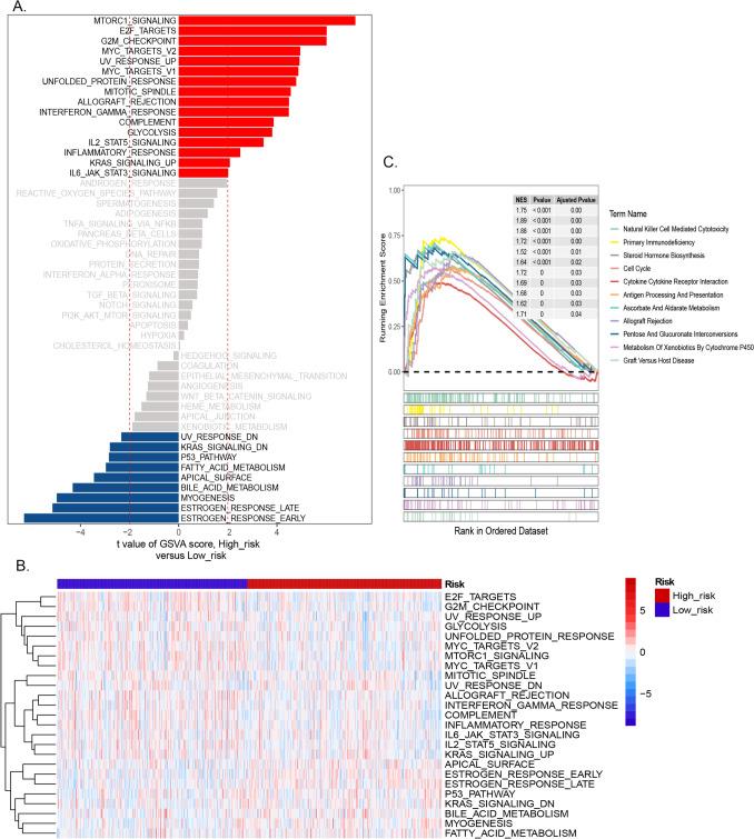 https://cdn.ncbi.nlm.nih.gov/pmc/blobs/73ad/12049336/ca83745a08ea/10238_2025_1661_Fig7_HTML.jpg