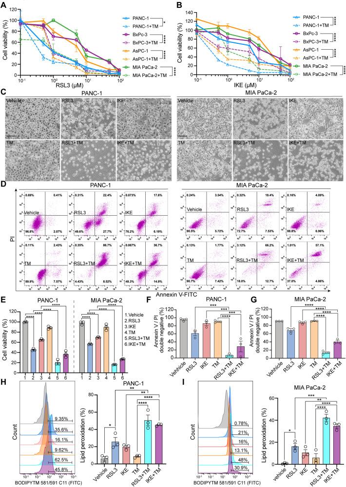 https://cdn.ncbi.nlm.nih.gov/pmc/blobs/73af/10406883/762d191bed37/41418_2023_1188_Fig7_HTML.jpg