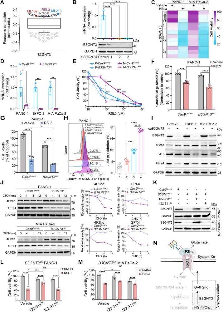 https://cdn.ncbi.nlm.nih.gov/pmc/blobs/73af/10406883/9a0c1c682693/41418_2023_1188_Fig4_HTML.jpg