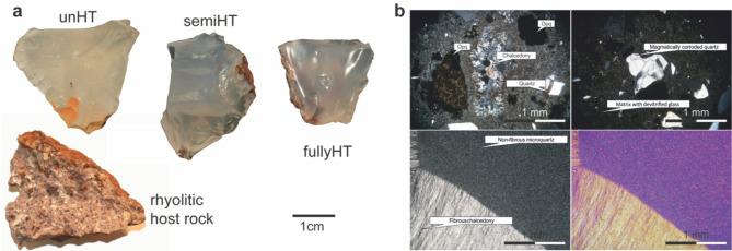 https://cdn.ncbi.nlm.nih.gov/pmc/blobs/73b0/11997213/8addcbe3e332/41598_2025_97207_Fig2_HTML.jpg