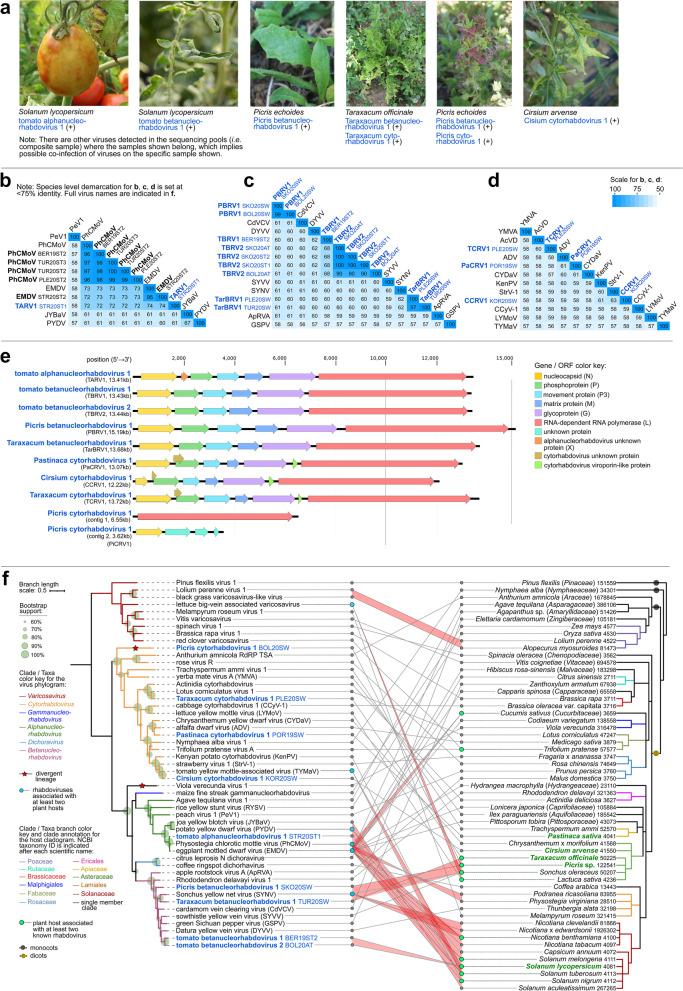 https://cdn.ncbi.nlm.nih.gov/pmc/blobs/73b1/10044381/10bf0621ab36/40168_2023_1500_Fig5_HTML.jpg