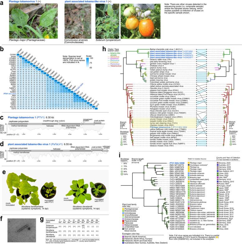 https://cdn.ncbi.nlm.nih.gov/pmc/blobs/73b1/10044381/5e12ff5da87a/40168_2023_1500_Fig7_HTML.jpg