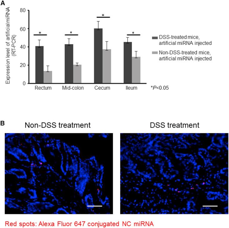 https://cdn.ncbi.nlm.nih.gov/pmc/blobs/73b1/6083010/9a902d450f76/gr6.jpg