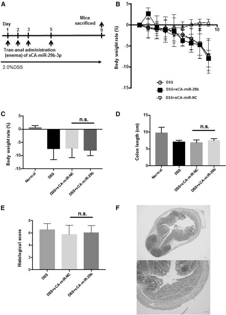 https://cdn.ncbi.nlm.nih.gov/pmc/blobs/73b1/6083010/c45d12844a95/gr8.jpg