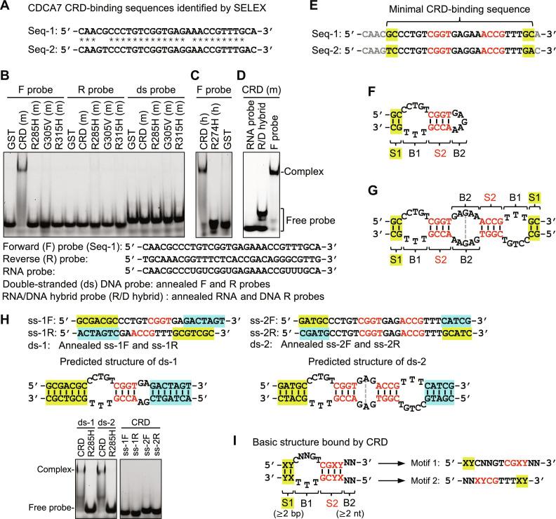 https://cdn.ncbi.nlm.nih.gov/pmc/blobs/73b4/11343032/4177b866bd71/sciadv.adr0036-f2.jpg