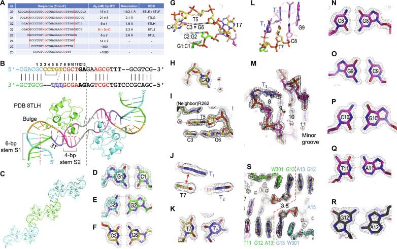 https://cdn.ncbi.nlm.nih.gov/pmc/blobs/73b4/11343032/4855599f9555/sciadv.adr0036-f3.jpg