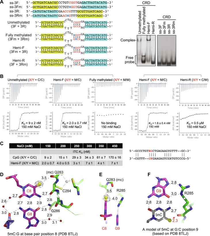 https://cdn.ncbi.nlm.nih.gov/pmc/blobs/73b4/11343032/6d25c4ccc51a/sciadv.adr0036-f6.jpg