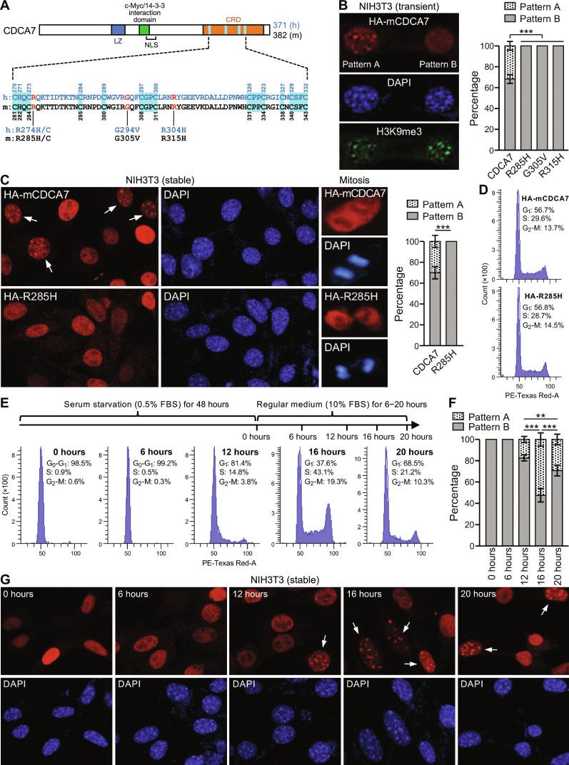 https://cdn.ncbi.nlm.nih.gov/pmc/blobs/73b4/11343032/c8b52be1f6f2/sciadv.adr0036-f1.jpg