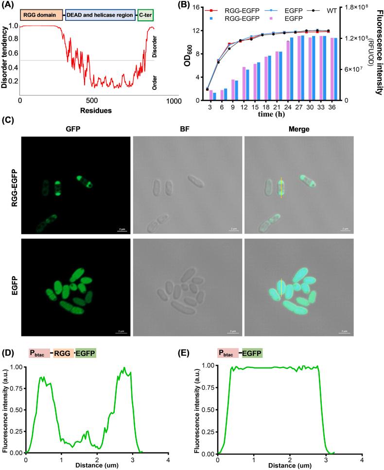 https://cdn.ncbi.nlm.nih.gov/pmc/blobs/73b4/12395988/424f569a018a/gr1.jpg
