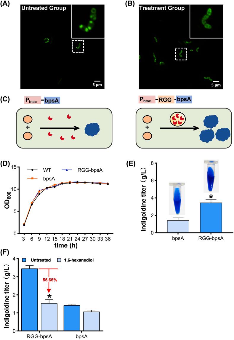 https://cdn.ncbi.nlm.nih.gov/pmc/blobs/73b4/12395988/97e5ec61ea2f/gr3.jpg