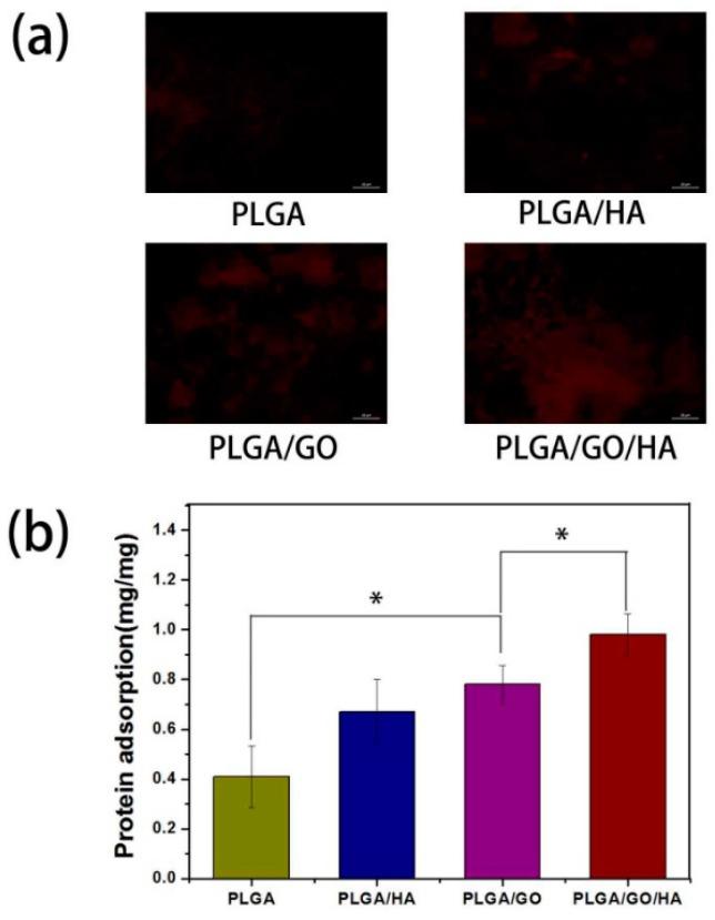 https://cdn.ncbi.nlm.nih.gov/pmc/blobs/73b5/6120034/bd2957f17062/materials-11-01430-g003.jpg