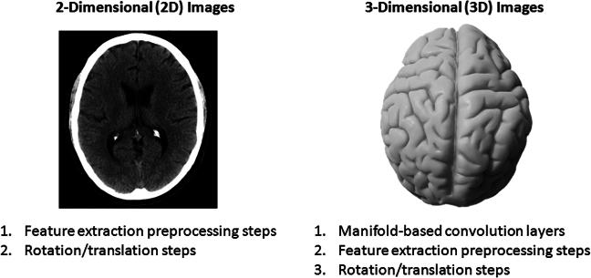 https://cdn.ncbi.nlm.nih.gov/pmc/blobs/73b6/11975754/850dbc77a606/gr3.jpg