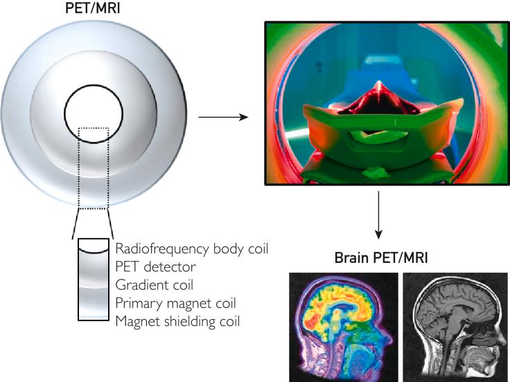 https://cdn.ncbi.nlm.nih.gov/pmc/blobs/73b6/11975754/a5cd013d62fd/gr1.jpg