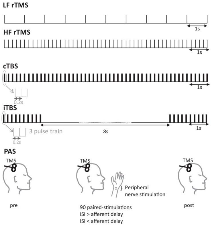 https://cdn.ncbi.nlm.nih.gov/pmc/blobs/73b7/11591941/35b06f1f684c/brainsci-14-01092-g002.jpg