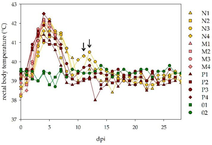 https://cdn.ncbi.nlm.nih.gov/pmc/blobs/73b7/8310034/c2638624574f/viruses-13-01250-g002.jpg