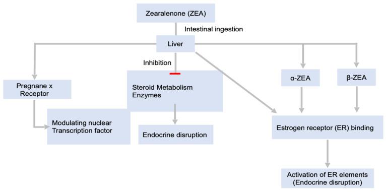 https://cdn.ncbi.nlm.nih.gov/pmc/blobs/73ba/8949390/b417e8df5c53/toxins-14-00167-g004.jpg
