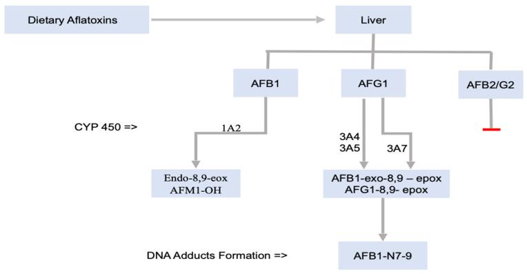 https://cdn.ncbi.nlm.nih.gov/pmc/blobs/73ba/8949390/e0893c93c3f6/toxins-14-00167-g001.jpg