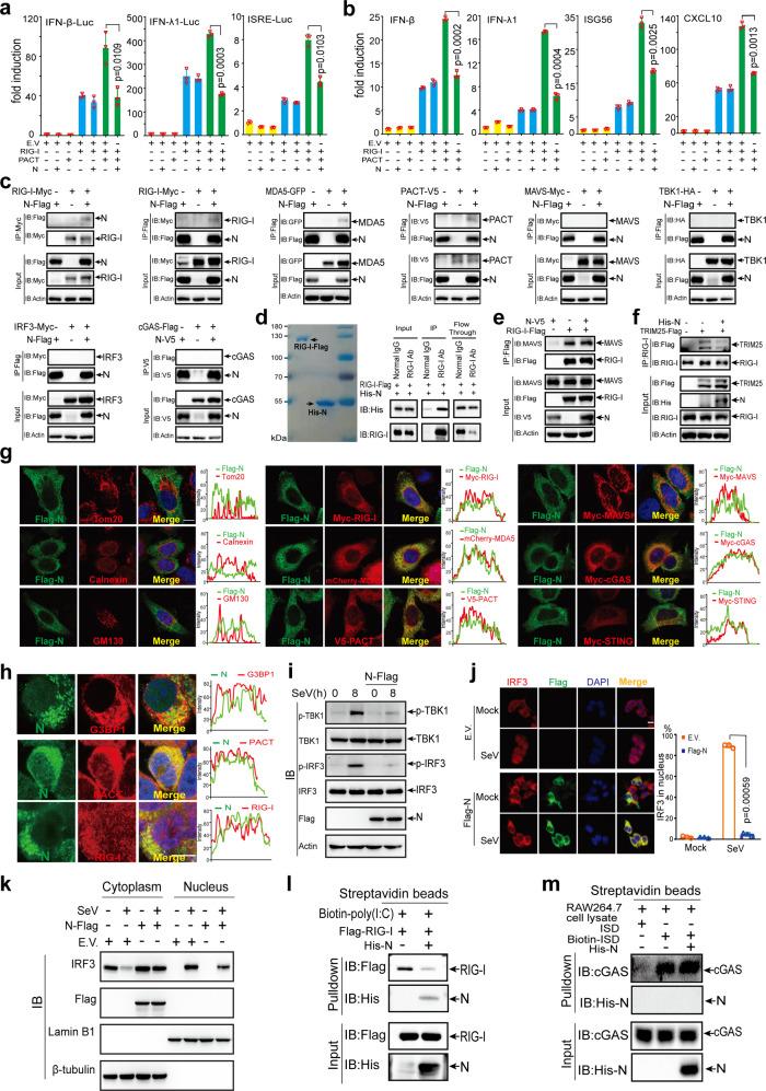 https://cdn.ncbi.nlm.nih.gov/pmc/blobs/73bb/8786892/39522397e242/41392_2022_878_Fig6_HTML.jpg