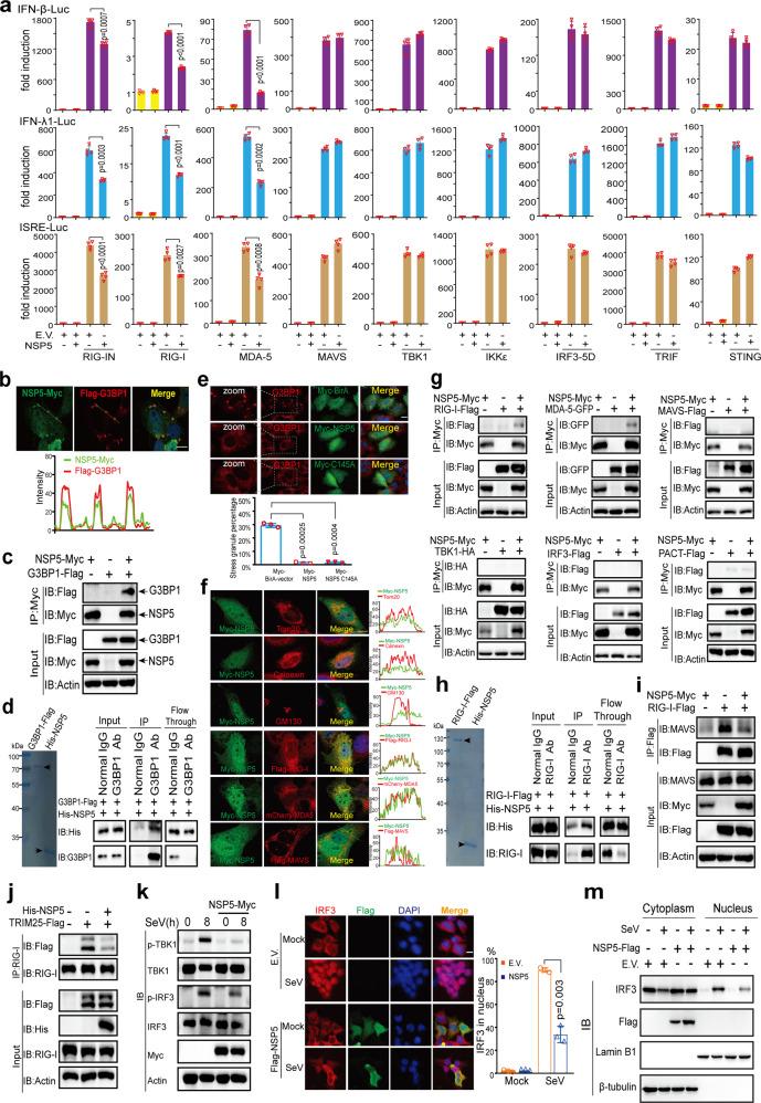 https://cdn.ncbi.nlm.nih.gov/pmc/blobs/73bb/8786892/710285352691/41392_2022_878_Fig4_HTML.jpg