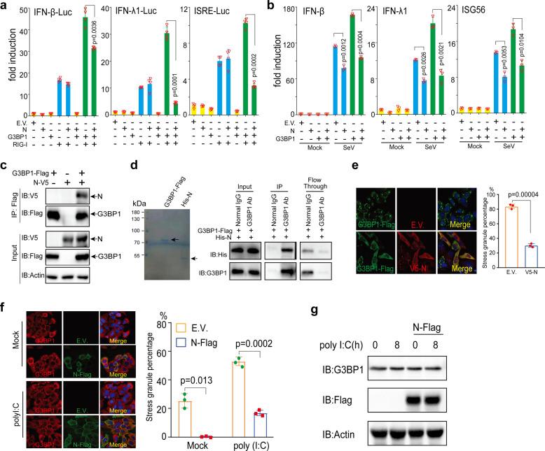 https://cdn.ncbi.nlm.nih.gov/pmc/blobs/73bb/8786892/e0e861e7eb19/41392_2022_878_Fig5_HTML.jpg