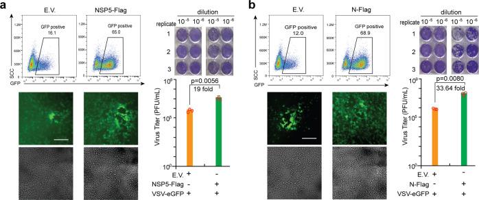 https://cdn.ncbi.nlm.nih.gov/pmc/blobs/73bb/8786892/eeb54054e0ba/41392_2022_878_Fig2_HTML.jpg