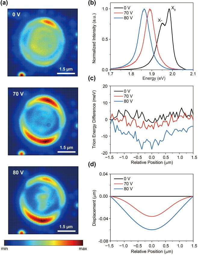 https://cdn.ncbi.nlm.nih.gov/pmc/blobs/73bc/12116259/85c36ab70806/j_nanoph-2024-0739_fig_002.jpg
