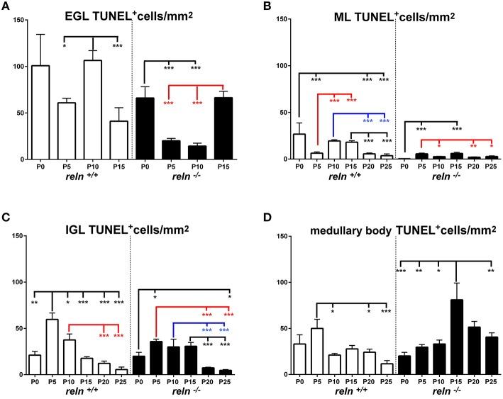https://cdn.ncbi.nlm.nih.gov/pmc/blobs/73bc/4879145/5ec44190886f/fncel-10-00141-g0006.jpg