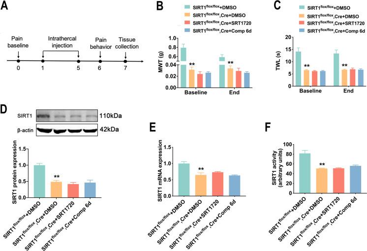 https://cdn.ncbi.nlm.nih.gov/pmc/blobs/73bd/11711878/1613658b34b3/10565_2024_9970_Fig4_HTML.jpg