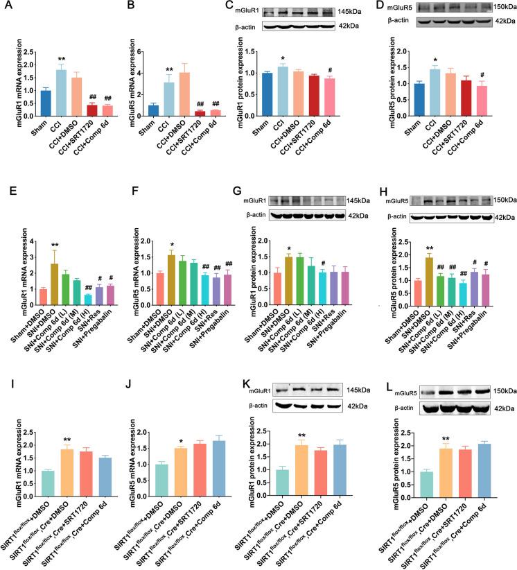https://cdn.ncbi.nlm.nih.gov/pmc/blobs/73bd/11711878/70dede39a69b/10565_2024_9970_Fig5_HTML.jpg