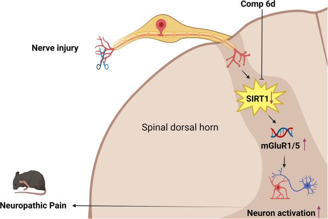 https://cdn.ncbi.nlm.nih.gov/pmc/blobs/73bd/11711878/99ca3cd57aca/10565_2024_9970_Fig7_HTML.jpg