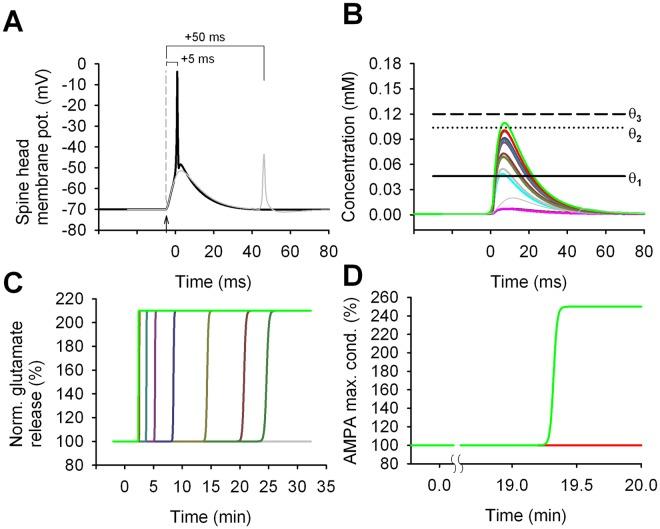 https://cdn.ncbi.nlm.nih.gov/pmc/blobs/73bd/6502438/4e561ee4ceb9/pcbi.1006975.g003.jpg