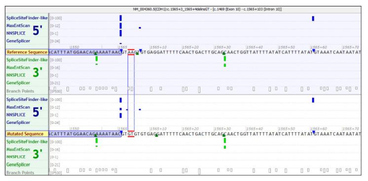 https://cdn.ncbi.nlm.nih.gov/pmc/blobs/73bd/8950196/88db73da21c8/genes-13-00400-g002.jpg