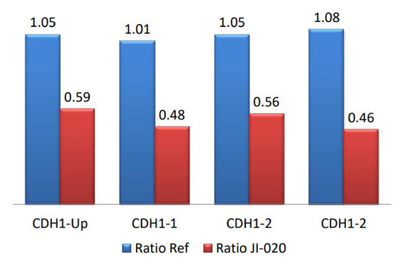 https://cdn.ncbi.nlm.nih.gov/pmc/blobs/73bd/8950196/a66cf2b08da7/genes-13-00400-g004.jpg