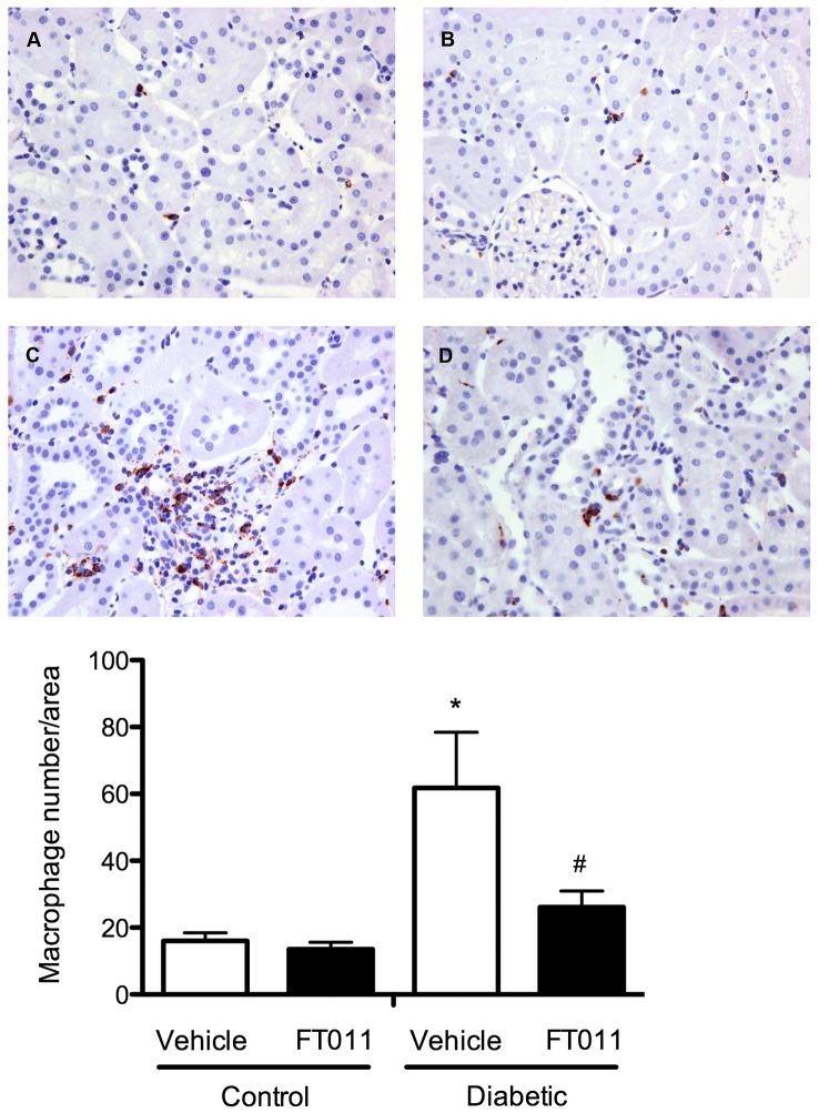 https://cdn.ncbi.nlm.nih.gov/pmc/blobs/73be/3468513/5ca5d8058c72/pone.0047160.g009.jpg